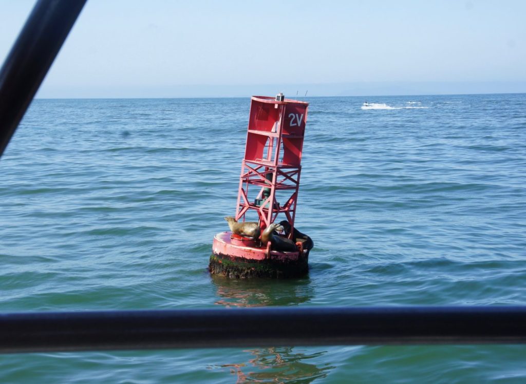 Seals on buoy