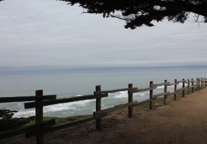 Fence overlooking ocean